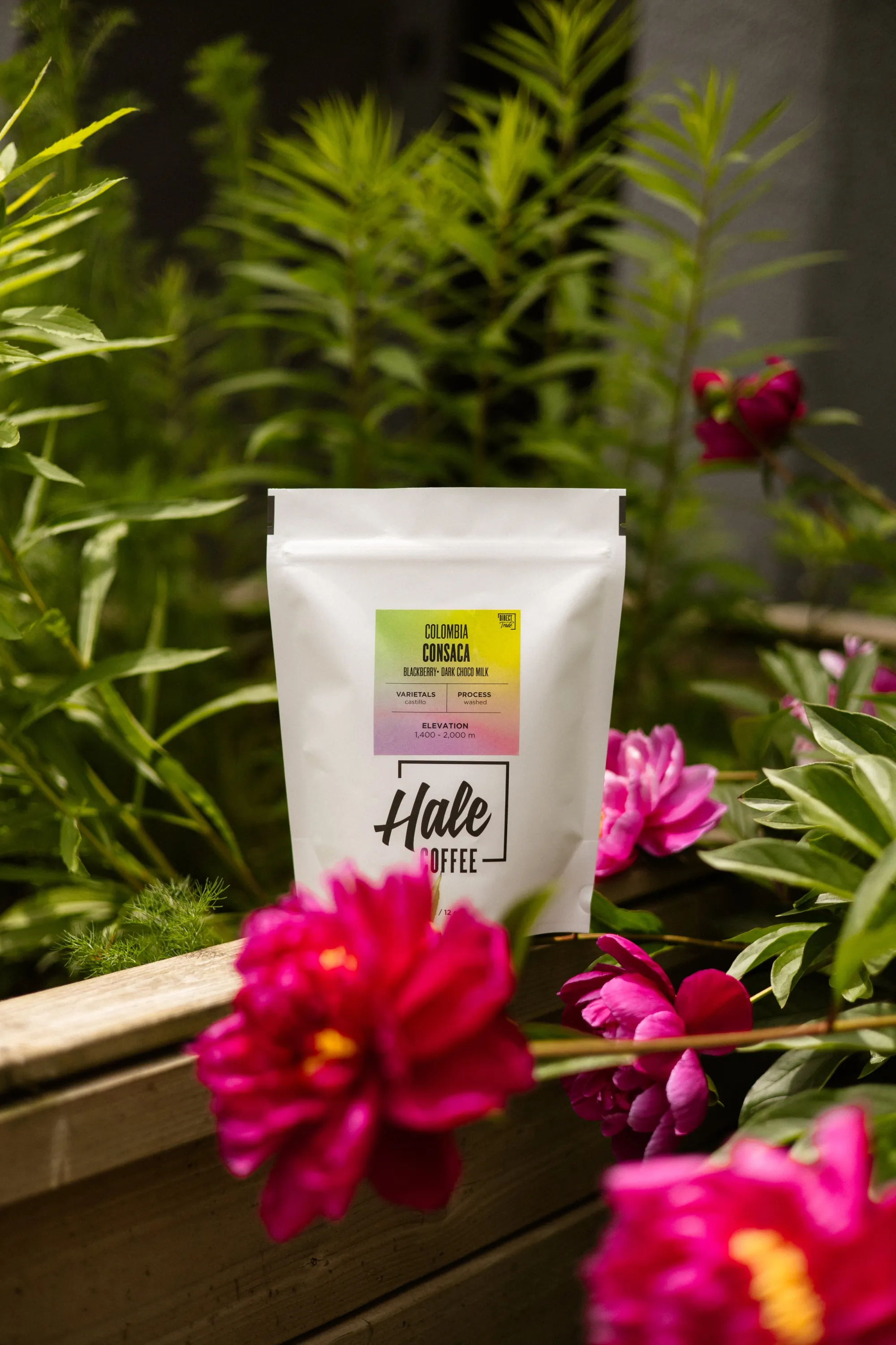 Hale Coffee